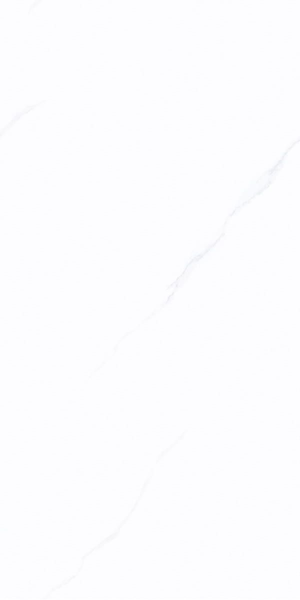 Y1PKP1290RG产品图