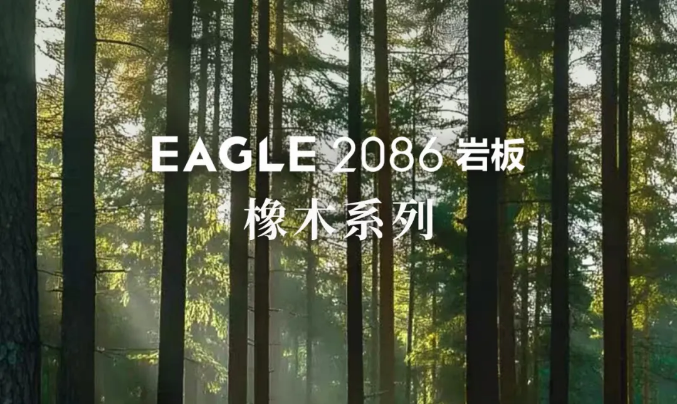 新品首发 | EAGLE2086岩板——橡木系列
