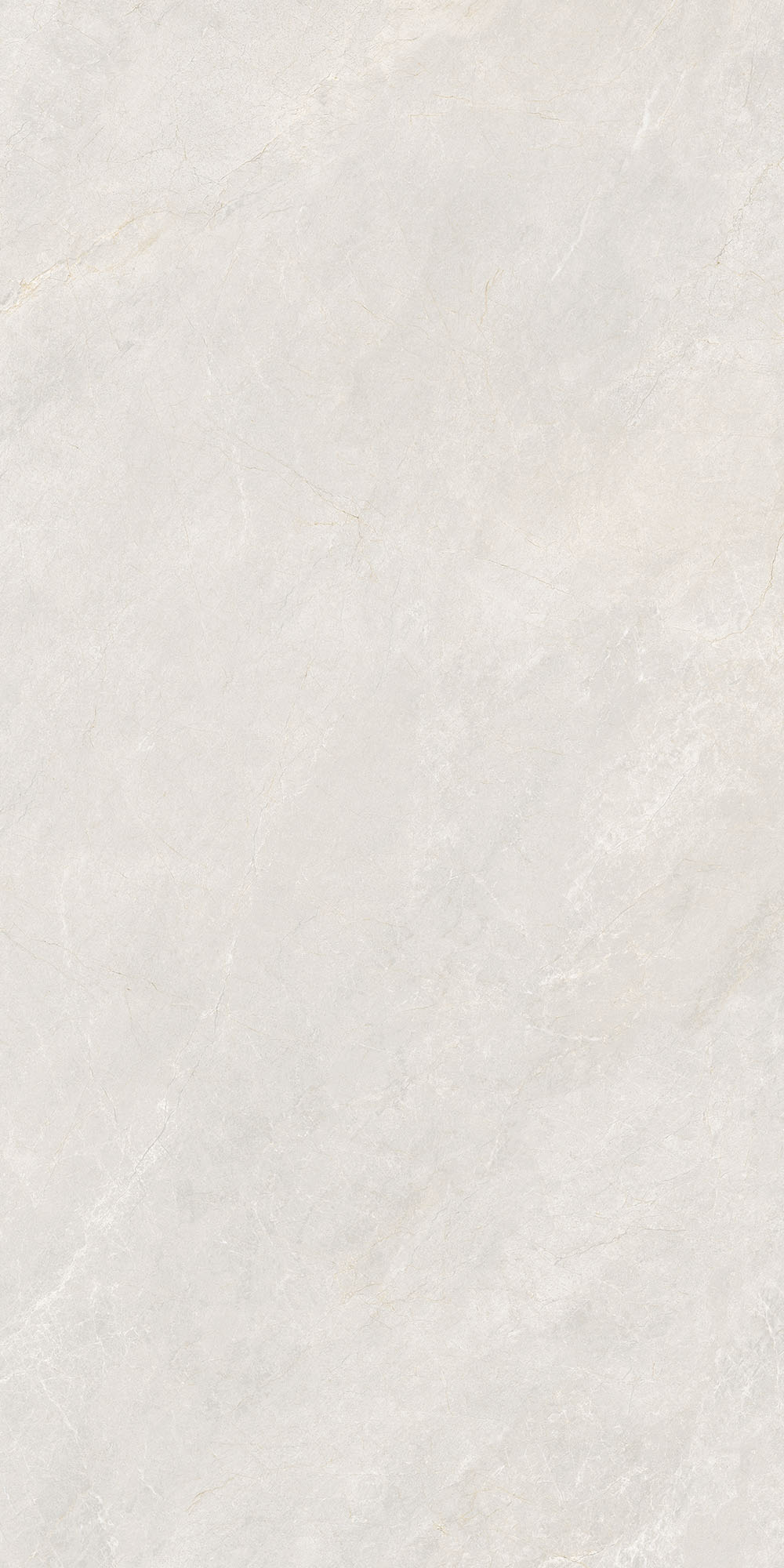 K8PKP1429RG产品图