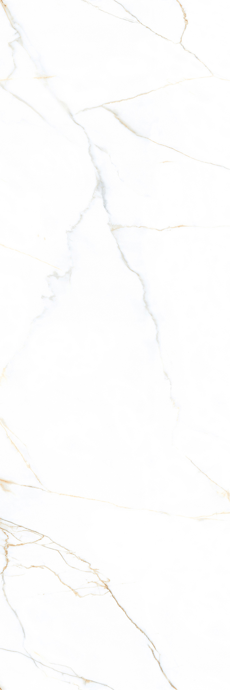 T9YVB157CG产品图